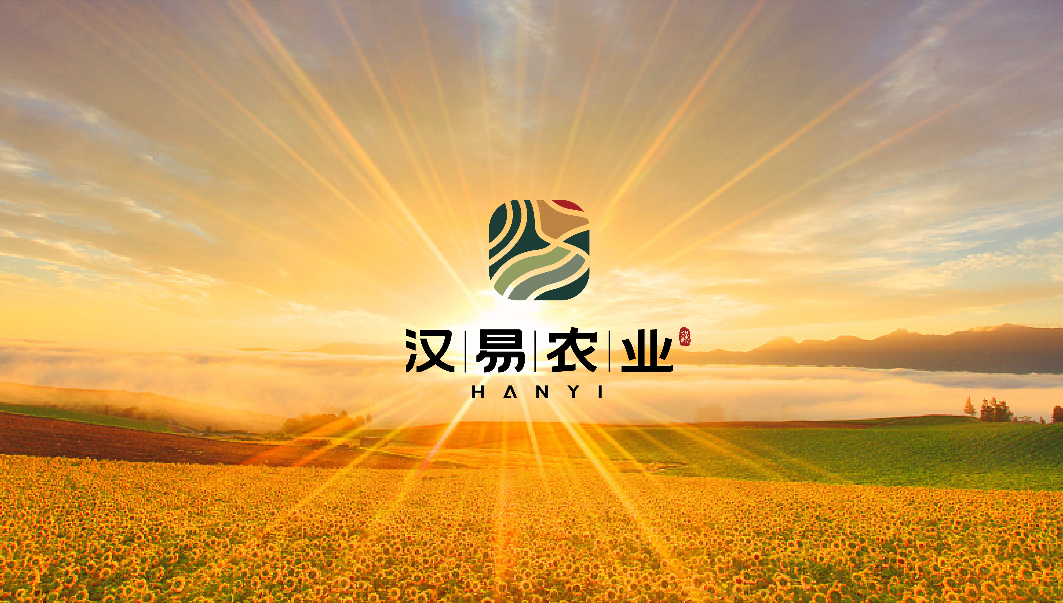 漢易農(nóng)業(yè)LOGO原創(chuàng)設計提案二&圭谷品牌-09