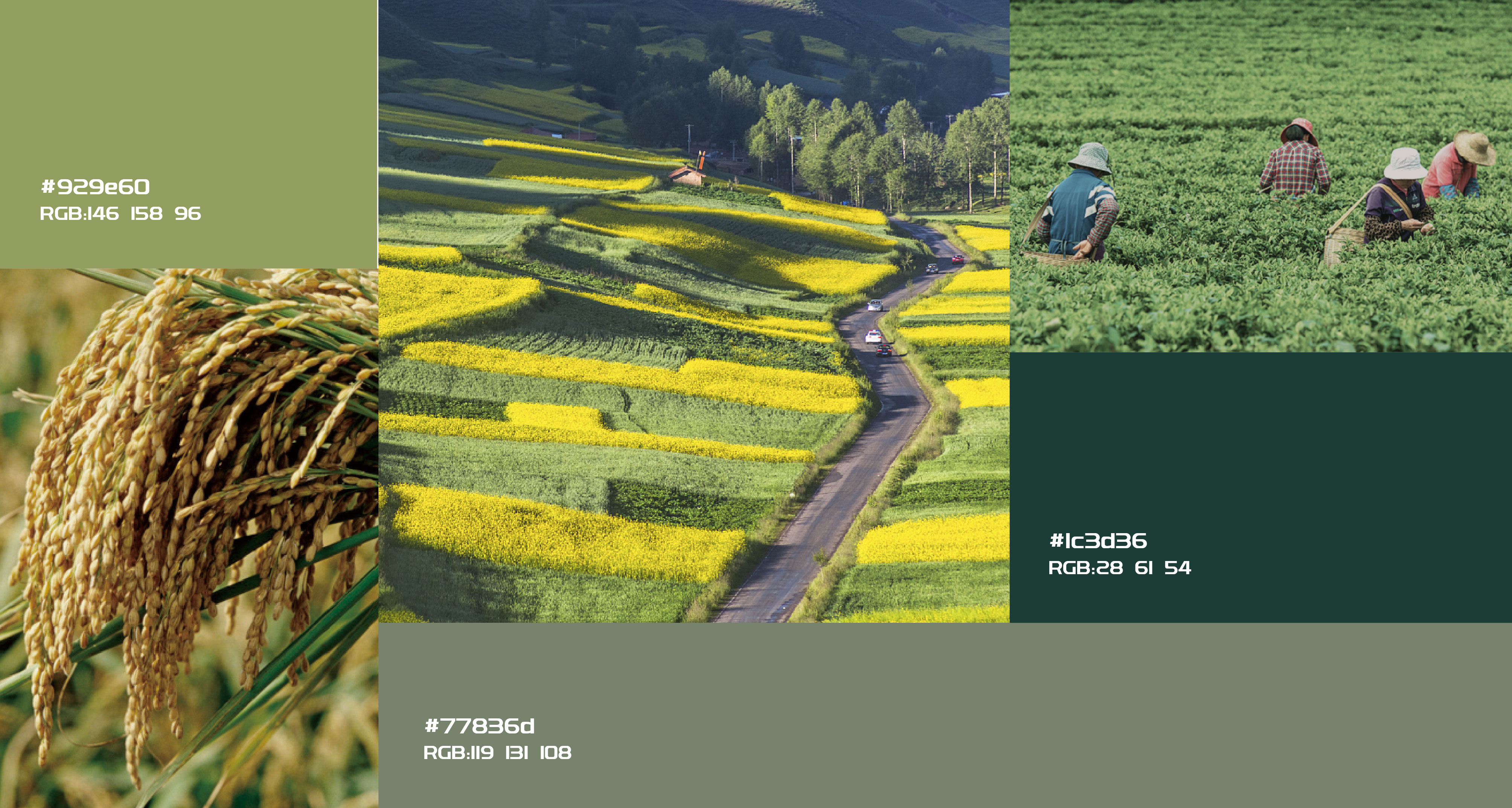 漢易農(nóng)業(yè)LOGO原創(chuàng)設計提案二&圭谷品牌-11