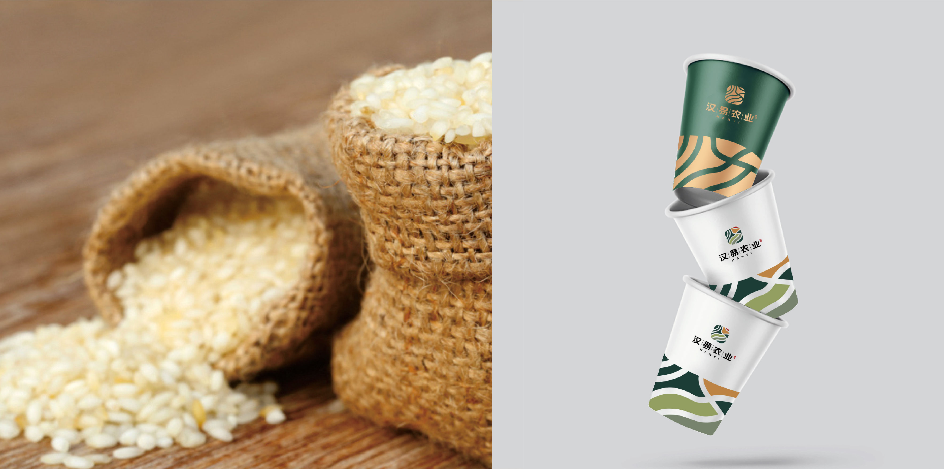 漢易農(nóng)業(yè)LOGO原創(chuàng)設計提案二&圭谷品牌-14