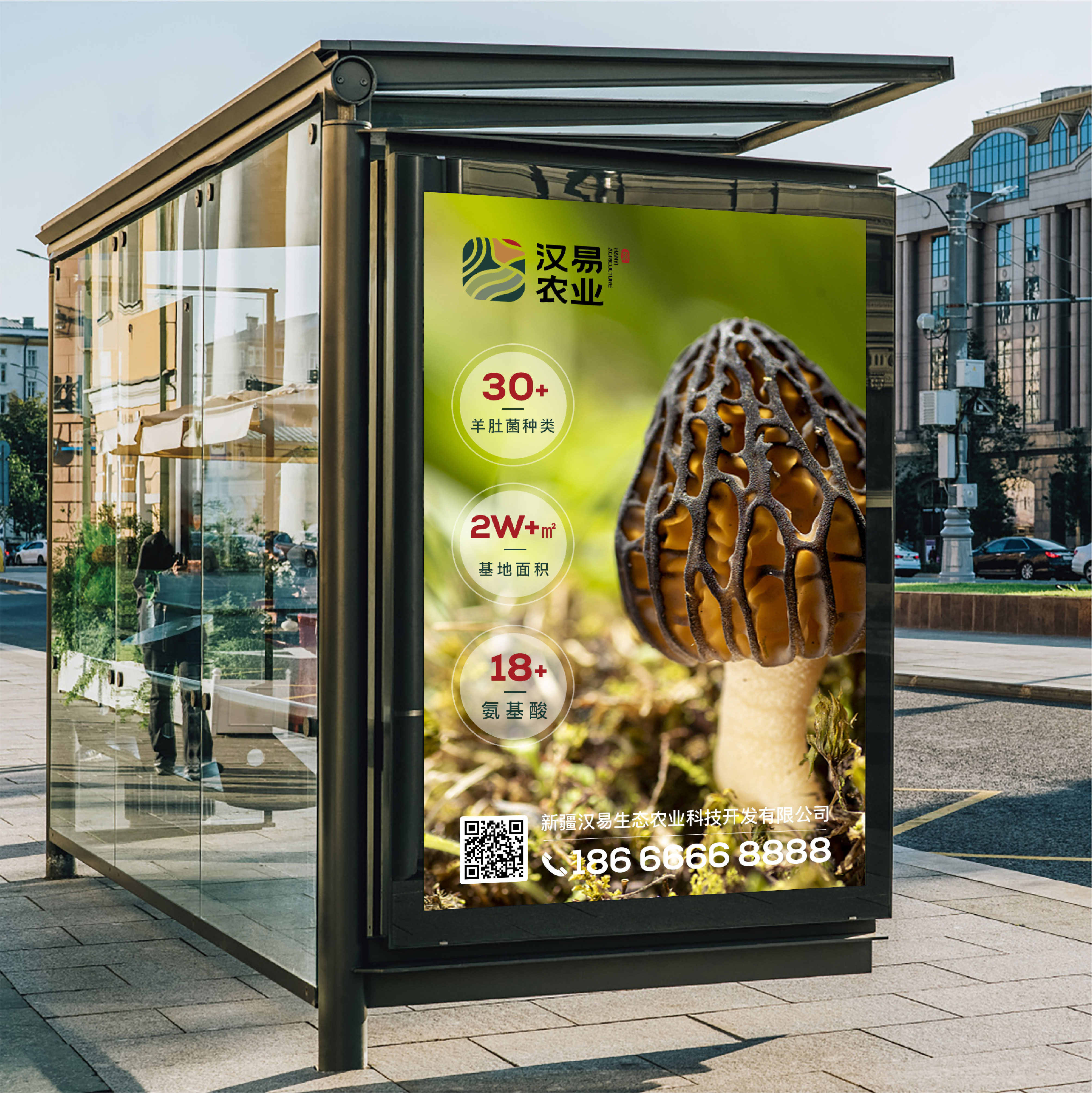 漢易農(nóng)業(yè)LOGO原創(chuàng)設計提案二&圭谷品牌-18_副本